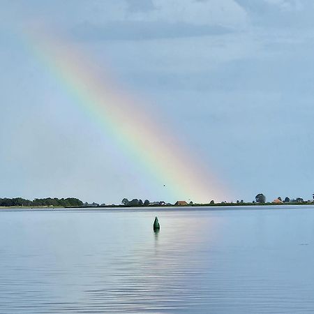 Welkom In Mijn Studio Bij Het Snekermeer ! Offingawier Экстерьер фото